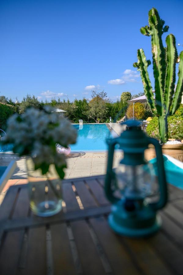 Le Mas De La Source Bed and Breakfast Mougins Exteriör bild