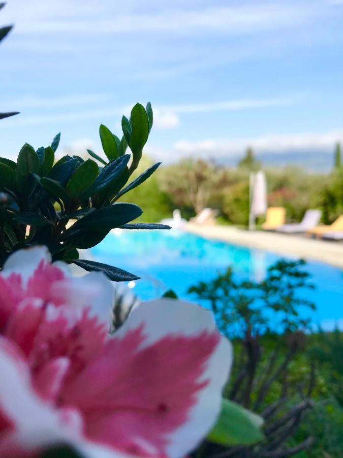 Le Mas De La Source Bed and Breakfast Mougins Exteriör bild