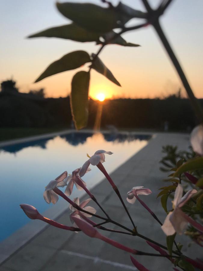 Le Mas De La Source Bed and Breakfast Mougins Exteriör bild